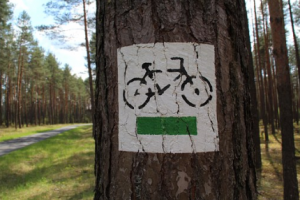 Fayetteville Bike tails