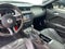 2012 Ford Mustang Shelby GT500 - SVT PERFORMANCE PKG / SHELBY RECARO SEATS