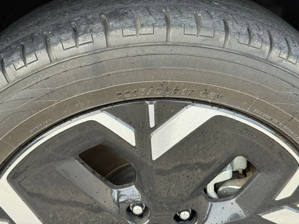 2024 Kia Niro EV Wind EV