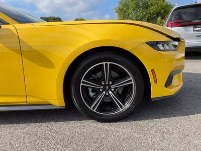 2024 Ford Mustang EcoBoost